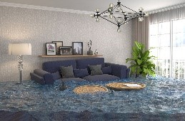 mold testing Flooded living room photograph