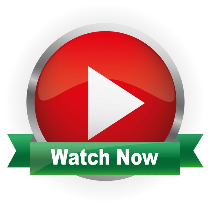 Pest control tenant or landlord Pest control tenant or landlord
