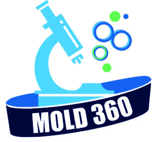 mold360 logo