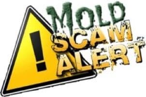 The Most Common Mold Scams