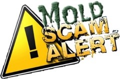 The Most Common Types of Mold Scams