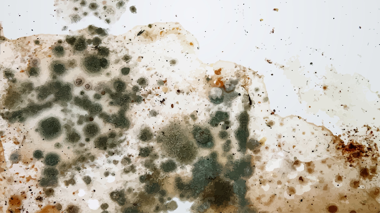 What Every Consumer Should Understand About Air Sampling for Mold